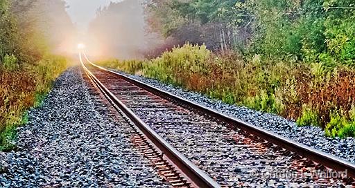 The 6.22 Approaching In Ground Fog_P1180966-74.jpg - VIA Train for Toronto photographed near Smiths Falls, Ontario, Canada.